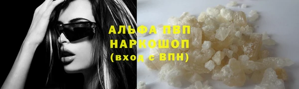 сатива Мегион