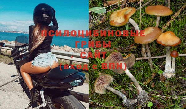 ALPHA-PVP Домодедово