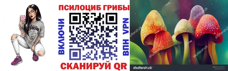 Псилоцибиновые грибы GOLDEN TEACHER  продажа наркотиков  Починок 